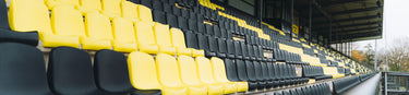 Tribune Veendam