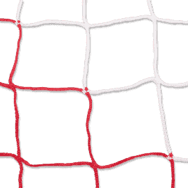 BUT | Modèle cage | 7,32x2,44m